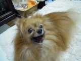 DSCN6887