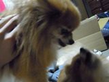 DSCN7075