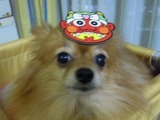 DSCN7135 (640x480)
