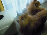 DSCN6916