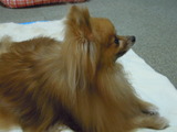 DSCN7023