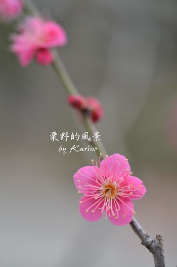 ����0209_02