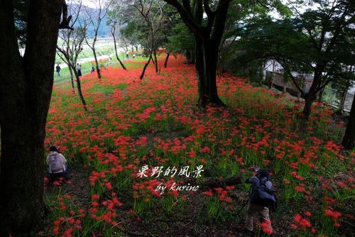 川東公園01