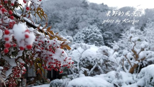 雪景色19_08