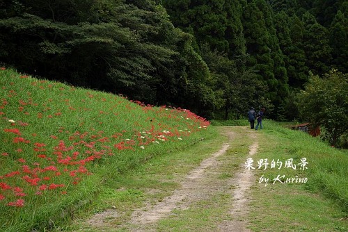 上淀廃寺跡03