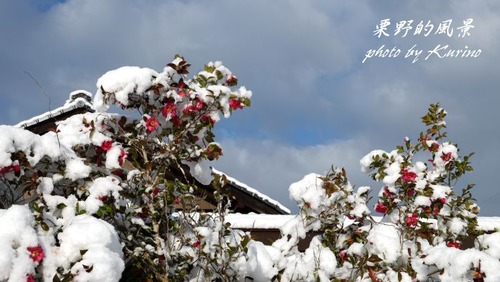 雪景色19_11