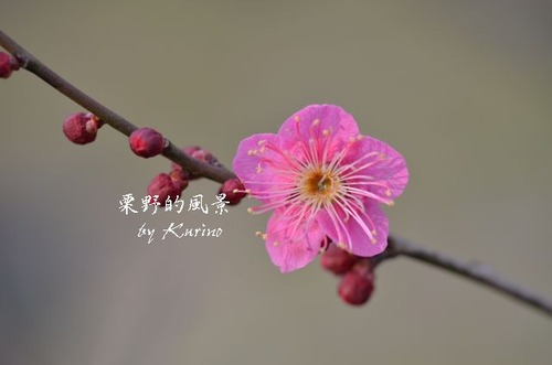 ����0209_01