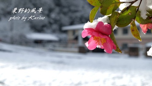 雪景色19_12