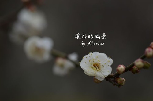 ����0209_03
