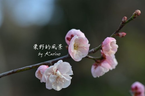 ø����03
