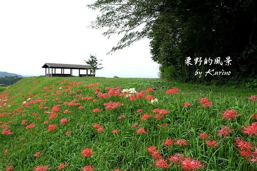 上淀廃寺跡02