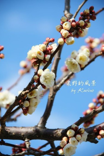 ��ݸ������01