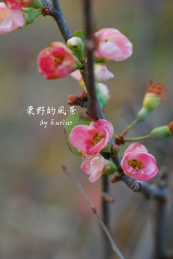 �ڱ��β�01