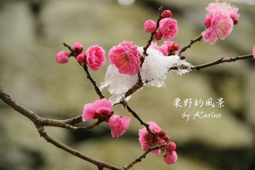 ����120219_01