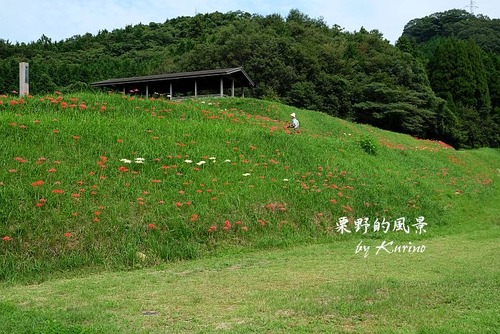 上淀廃寺跡01