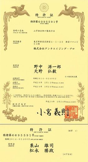 yamaimo-patent