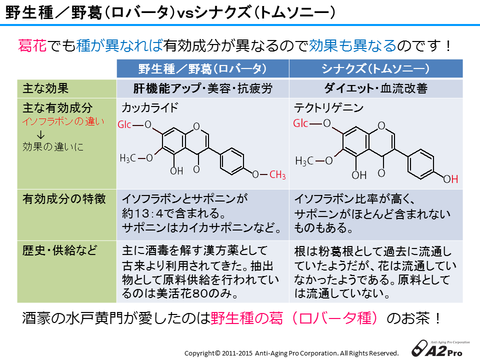 美活花80 勉強会資料(比較表)