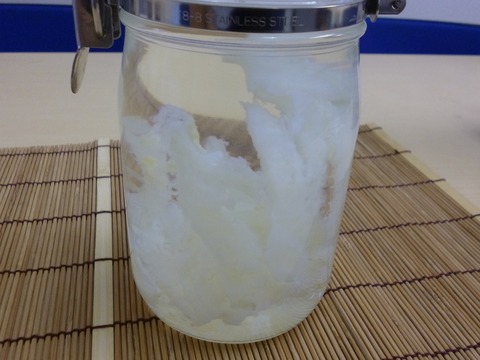 Salmon nasal cartilage in formalin 1s
