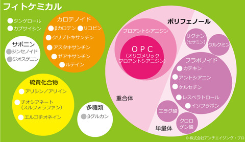 フィトケミカルマップ