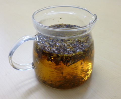 P1000091-2