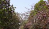 造幣局その3