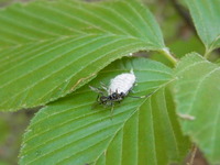 RIMG0069