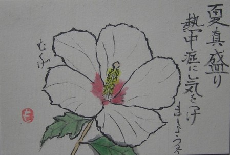 絵手紙シリーズ 夏の花 ムクゲ（木槿） : 四季の花図鑑