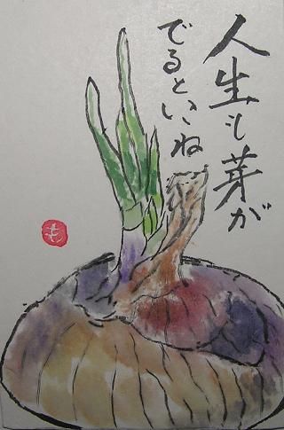 日本画(19)　玉ねぎ2 絵手紙シリーズ タマネギ（玉葱） : 四季の花図鑑