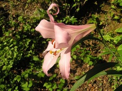 3P1010007