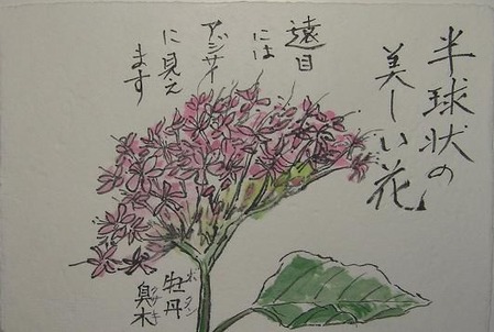 1-³¨¼ê»æ¥Ü¥¿¥ó¥¯¥µ¥P1010003¤Î¥³¥Ô¡¼