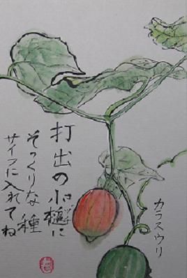 不詳/作者不詳/紅葉リス図/烏瓜/カラスウリ/布袋屋掛軸HG-839 不詳/作者不詳/紅葉リス図/烏瓜/カラスウリ/布袋屋掛軸HG-839