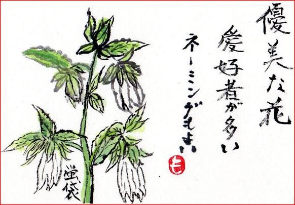 1-³¨¼ê»æ¡¦¥Û¥¿¥ë¥Ö¥¯¥í¥¥ã¥×¥Á¥ã