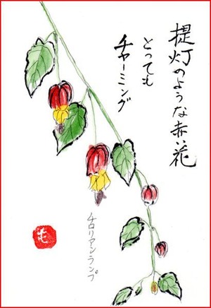 ³¨¼ê»æ¡¦¥é¥ó¥×¥Á¥í¥ê¥¢¥ó¥¥ã¥×¥Á¥ã
