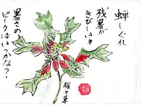 1-³¨¼ê»æ¥·¥ê¡¼¥º¡¦¥·¥ç¥¦¥¸¥ç¥¦¥½¥¦img043