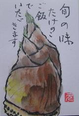 絵手紙シリーズ 旬の食材タケノコ（筍） : 四季の花図鑑