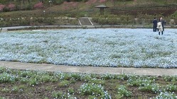 3DSCF2869