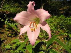 4P1010008