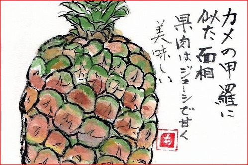 ³¨¼ê»æ¡¦¥Ñ¥¤¥Ê¥Ã¥×¥ë¥¥ã¥×¥Á¥ã