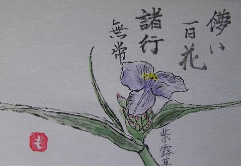 2-³¨¼ê»æ¡¦¥à¥é¥µ¥¥Ä¥æ¥¯¥µP1010014