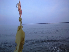 PAP_0656