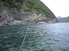 CA3A0160