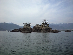 CA3A0157