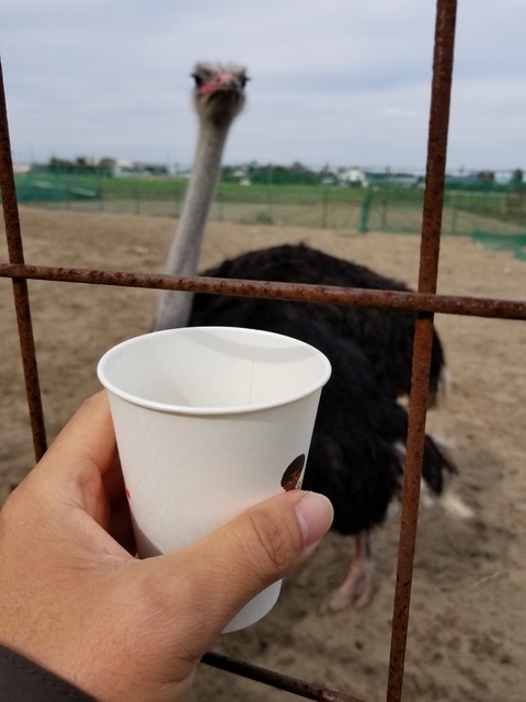 20171028_110211