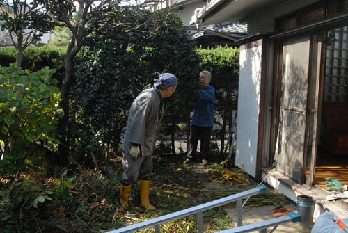 作業その4DSC_6349