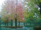 公園にて01