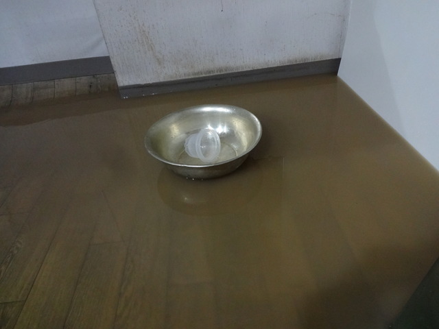 DSC08481