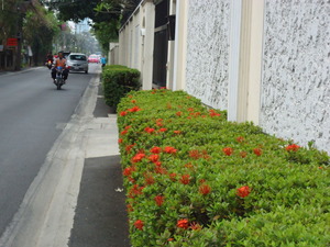 DSC00344