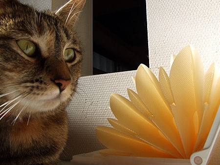 �ۤ�ȡ���̣�����ʤ�����