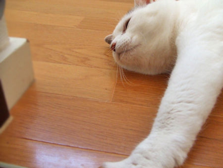 豆花