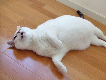 豆花